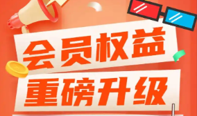 WPS会员渠道拿货价与批发供应链分析